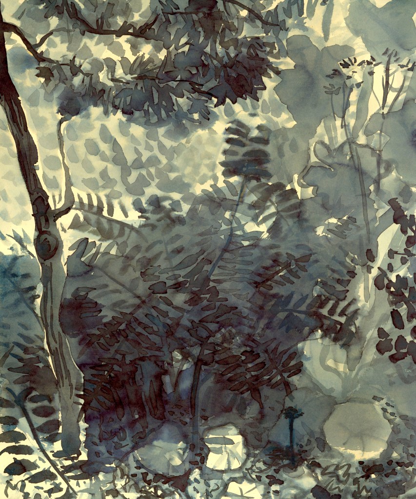 Tm onder de Amberboom